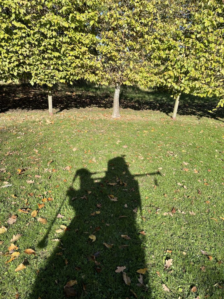 A picture of the shadow of Emma dressed as a dryad playing the bagpipes, set in autumnal trees